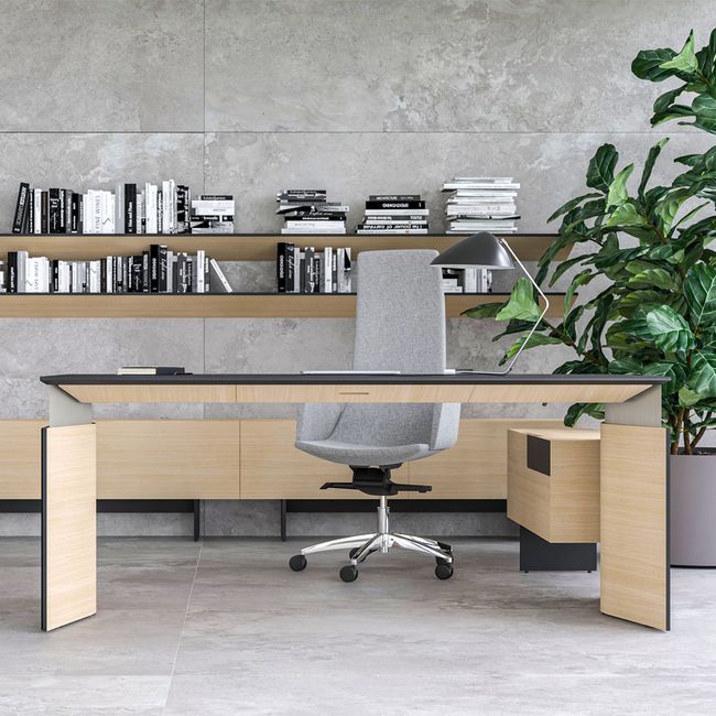 MOVE&LEAD Chefschreibtisch | 1800 – 2000 x 850 mm, elektrisch höhenverstellbar