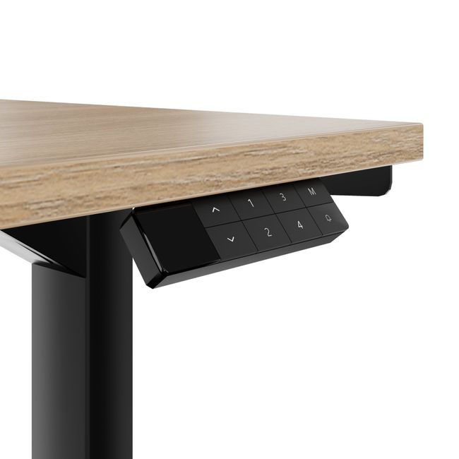 TELDRA Home & FILO | Arbeitsplatz-Set, Bernsteineiche