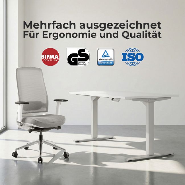 TELDRA Home & FILO | Arbeitsplatz-Set, Perlgrau