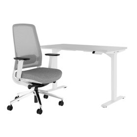 TELDRA Home & FILO | Arbeitsplatz-Set, Perlgrau