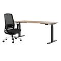 TELDRA Office & FILO | Arbeitsplatz-Set, Bernsteineiche