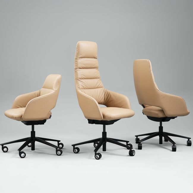 SANDIE Bürodrehstuhl | Mittlere Rückenlehne, Synchronmechanik, 5-Stern-Fußkreuz