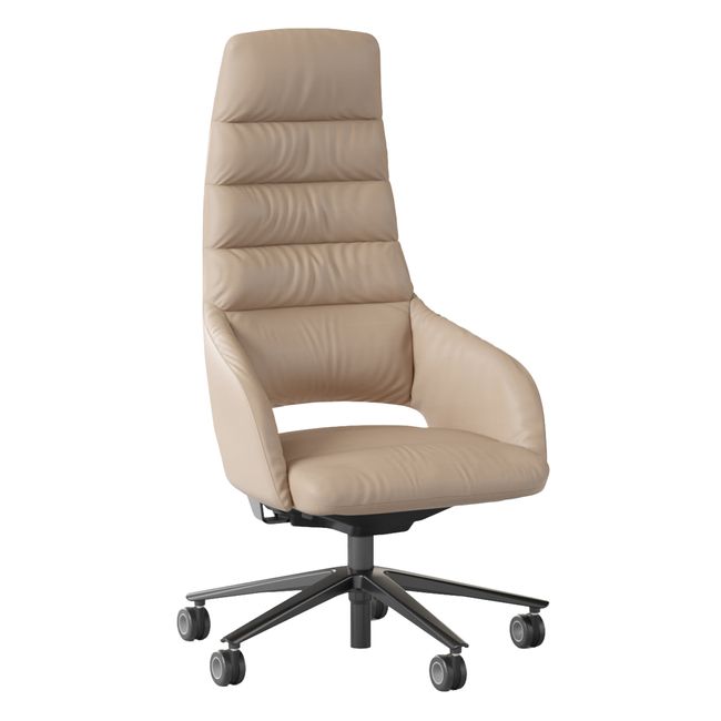 SANDIE Bürodrehstuhl | Hohe Rückenlehne, Synchronmechanik, 5-Stern-Fußkreuz