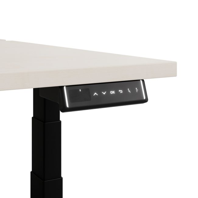 TELDRA Pro Team-Schreibtisch | 1600-1800 mm, elektrisch höhenverstellbar, Ahorn