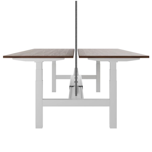 TELDRA Pro Team-Schreibtisch | 1600-1800 mm, elektrisch höhenverstellbar, Echtholz-Furnier Nussbaum