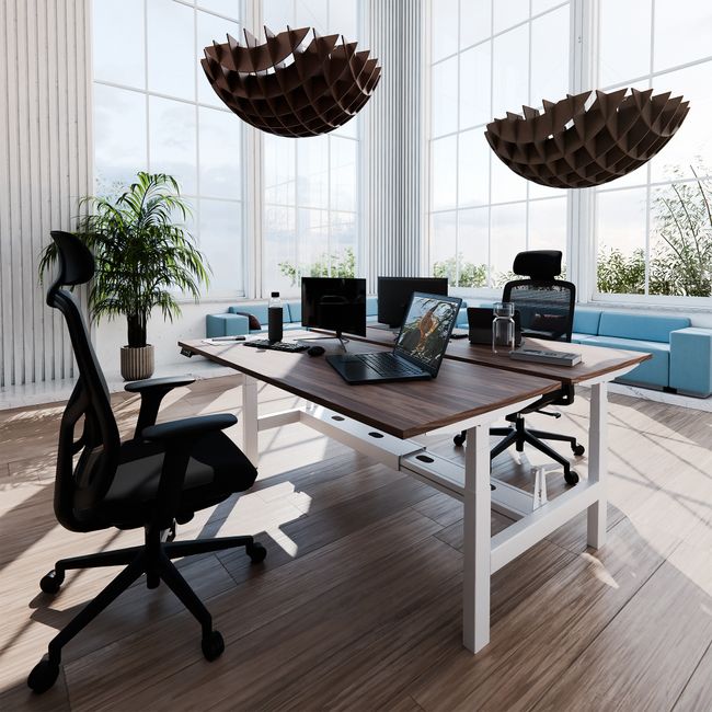 TELDRA Pro Team-Schreibtisch | 1600-1800 mm, elektrisch höhenverstellbar, Echtholz-Furnier Nussbaum