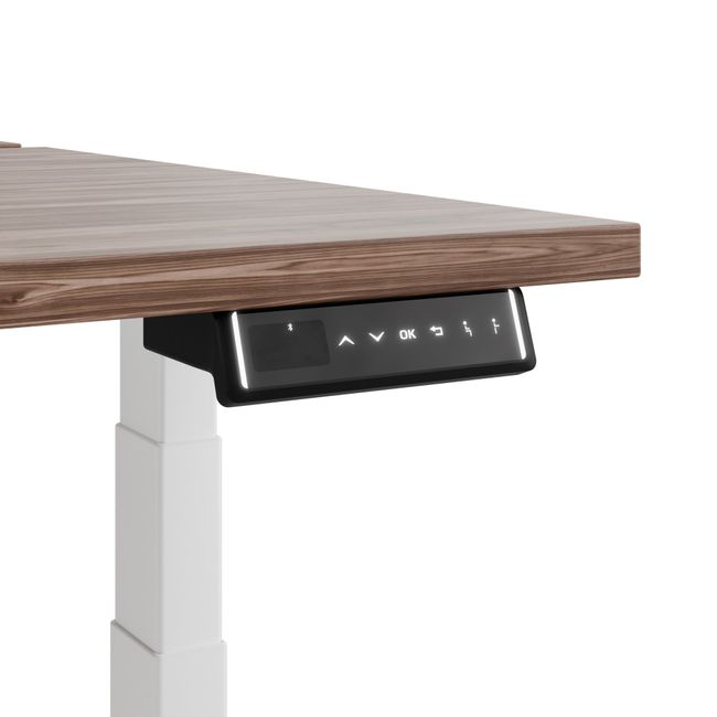 TELDRA Pro Team-Schreibtisch | 1600-1800 mm, elektrisch höhenverstellbar, Echtholz-Furnier Nussbaum