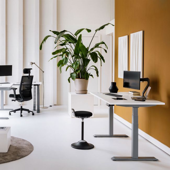 MASTER Monitorhalter | Gasfederunterstützung, 148-445 mm