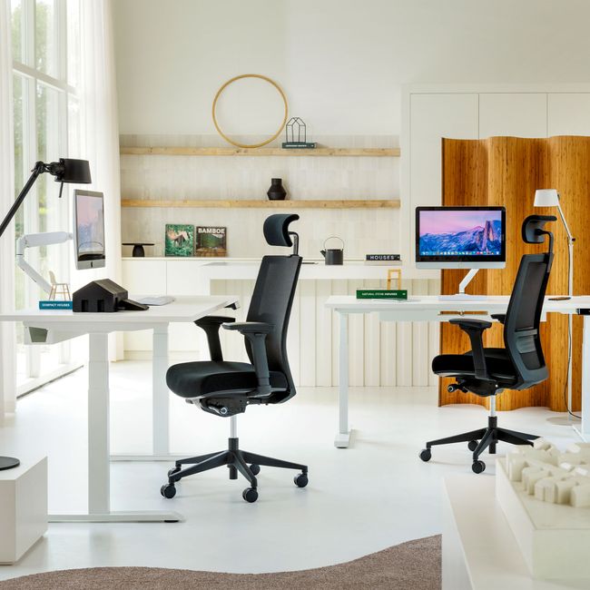 MASTER Monitorhalter | Gasfederunterstützung, 148-445 mm