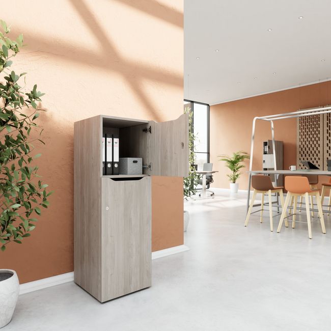 CHOICE Spind | 450 x 1370 mm, 2 oder 3 Schließfächer, Nordeiche grau