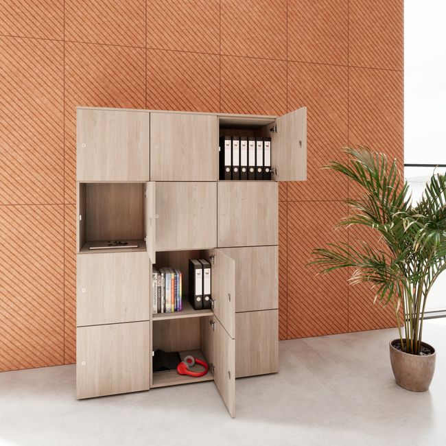 CHOICE Spind | 1353 x 1836 mm, 12 Schließfächer, Nordeiche grau