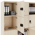 CHOICE Spind | 1353 x 1836 mm, 12 Schließfächer, Sandesche - 4 Thumbnail Image