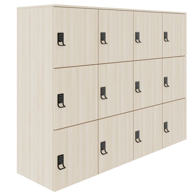 CHOICE Spind | 1804 x 1386 mm, 12 Schließfächer, Sandesche