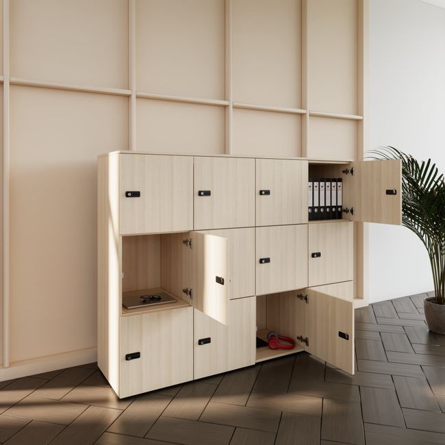 CHOICE Spind | 1804 x 1386 mm, 12 Schließfächer, Sandesche