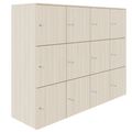CHOICE Spind | 1804 x 1386 mm, 12 Schließfächer, Sandesche - 3 Thumbnail Image