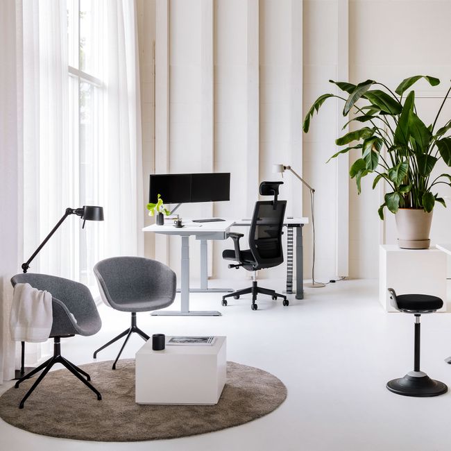 TELDRA Pro, 3-Motoren-Winkelschreibtisch | 1800 x 1600 mm, elektrisch höhenverstellbar, Anthrazit