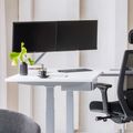 MASTER DUO Monitorhalter | Gasfederunterstützung, 148-445 mm, für zwei Monitore