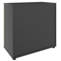 UNI Flügeltürenschrank | 2 OH, 800 x 777 mm, Anthrazit / Wildeiche - 4 Thumbnail Image