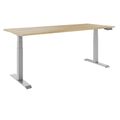 TELDRA Pro, 2-Motoren-Schreibtisch | 1200 - 2000 mm, elektrisch höhenverstellbar, Wildeiche
