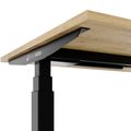 TELDRA Office, 2-Motoren-Schreibtisch | 1600 - 1800 mm, elektrisch höhenverstellbar, Wildeiche
