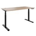 TELDRA Pro Curve, 2-Motoren-Schreibtisch | 1200-2000 mm, elektrisch höhenverstellbar, Bernsteineiche