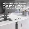 TELDRA Pro Curve, 2-Motoren-Schreibtisch | 1200-2000 mm, elektrisch höhenverstellbar, Bernsteineiche
