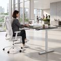 TELDRA Pro Curve, 2-Motoren-Schreibtisch | 1600-1800 mm, elektrisch höhenverstellbar, Anthrazit