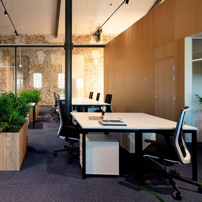 NOVA U Schreibtisch | 1600 x 800 mm, Ahorn