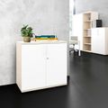 UNI Armoire de porte d'aile | 2 oh, 800 x 777 mm, érable / blanc - 1 Thumbnail Image
