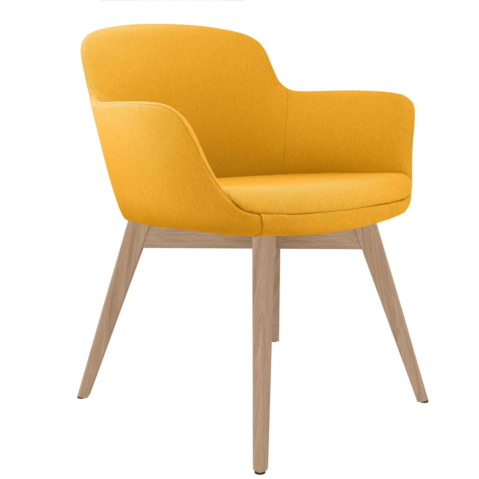 DANAE Fauteuil salon | Cadre Esche-Ech-Wood, Tabrics de référence Lucia / Velito / Synergy - 1 Main Image