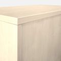 UNI Cabinet des magasins de queserroll | 2 oh, 1000 x 777 mm, érable / gris argenté - 11 Thumbnail Image