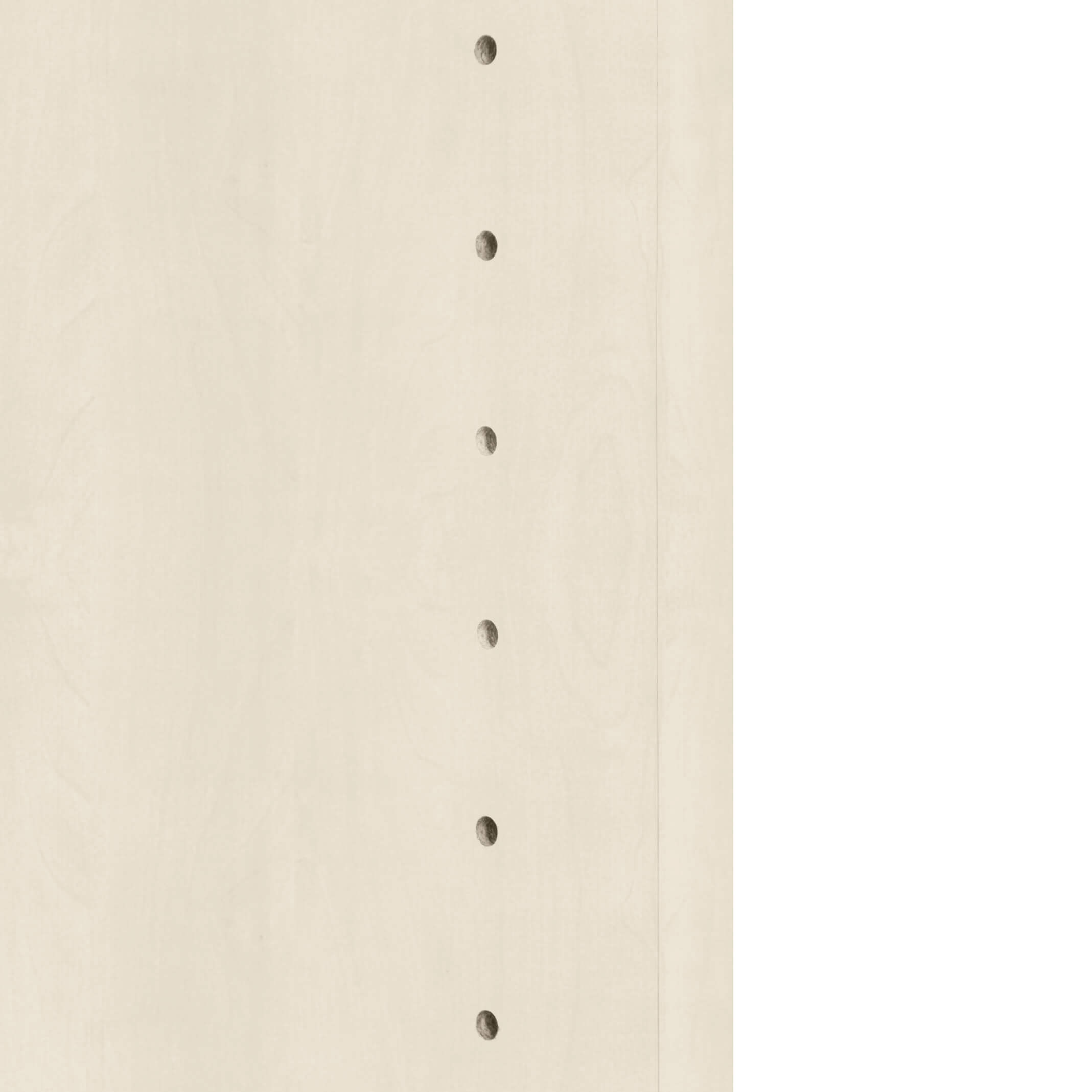 UNI Armoire de porte coulissante | 2 oh, 1200 x 777 mm, érable - 10 Main Image