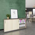 CHOICE Armoire de porte coulissante | 2 oh, 1600 x 760 mm, cendres gris / sable cubanite - 1 Thumbnail Image