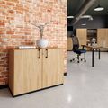 CHOICE Armoire de porte d'aile | 2 oh, 1000 x 760 mm, chêne ambre - 1 Thumbnail Image