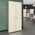 CHOICE Armoire de porte d'aile | 6 oh, 1000 x 2170 mm, cendres gris / sable cubanite - 1 Thumbnail Image