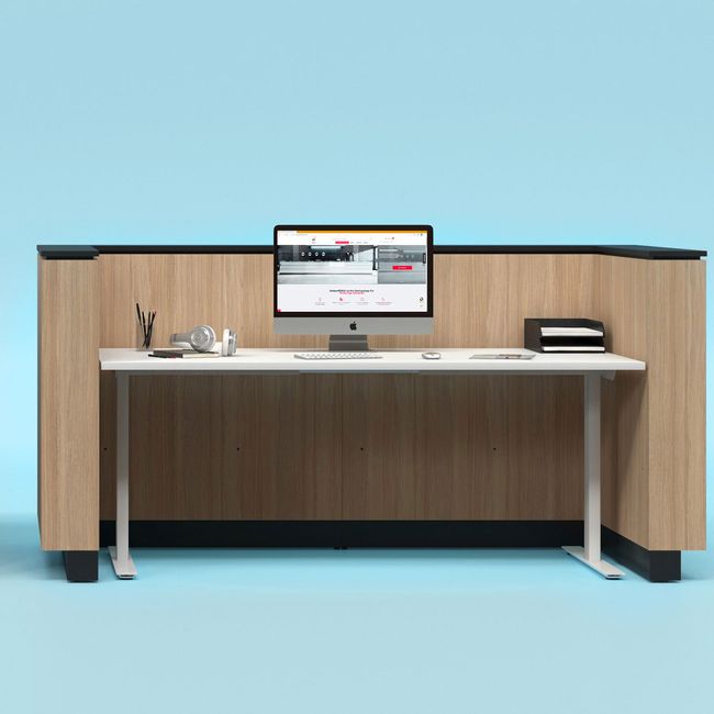 ICE Empfangstheke | 3214 x 1022 mm, Nordeiche grau