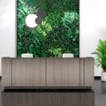 ICE reception desk | 3214 x 1022 mm, gray northern oak - 10 Thumbnail Image