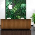 ICE reception desk | 3214 x 1022 mm, walnut veneer - 12 Thumbnail Image