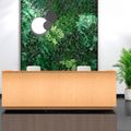 ICE reception desk | 3214 x 1022 mm, ash veneer - 12 Thumbnail Image