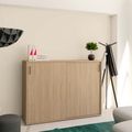 NOVA Armoire de porte coulissante | 3 oh, 1640 x 1085 mm, chêne ambre - 1 Thumbnail Image
