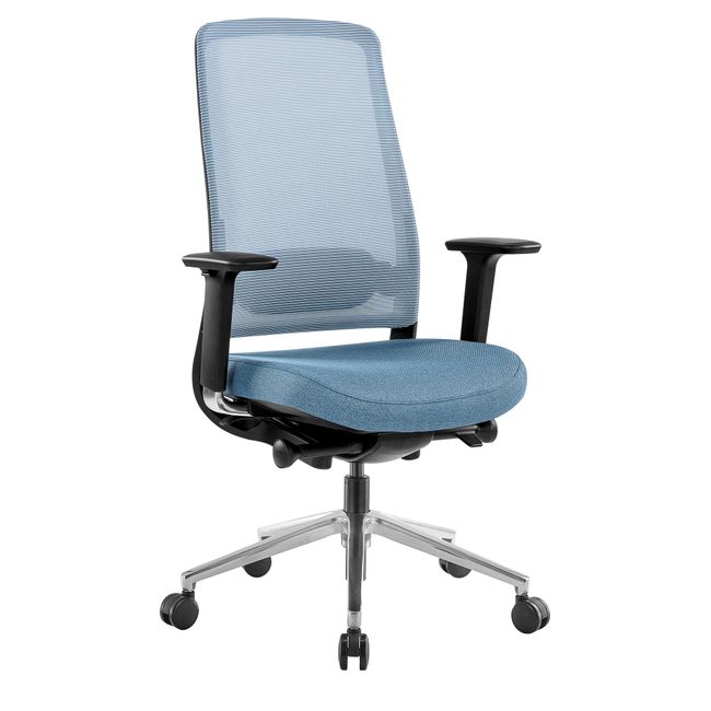 FILO 2.0 Bürodrehstuhl | Premium-Drehstuhl, Lordosenstütze, Netzrücken, 4D-Armlehnen, Blau