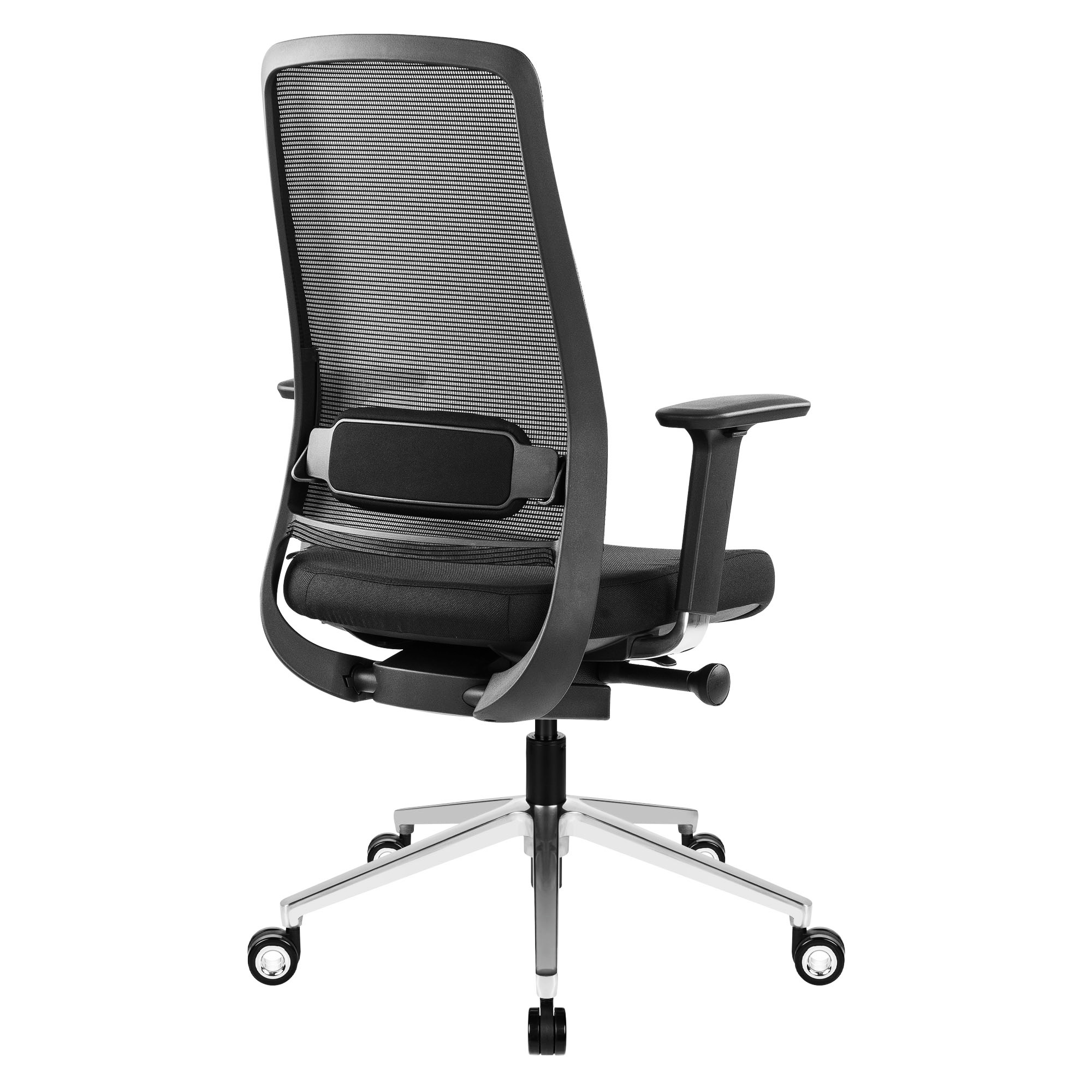 FILO-B 2.0 Chaise de bureau pivotante | Chaise pivotante ergonomique haut de gamme, soutien lombaire, dossier en résille, accoudoirs 4D, noir - 9 Main Image