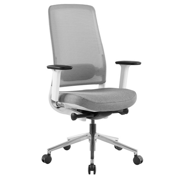 FILO 2.0 Bürodrehstuhl | Premium-Drehstuhl, Lordosenstütze, Netzrücken, 4D-Armlehnen, Grau