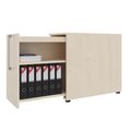 BOXI apothecary cabinet | 2 drawers, 420 x 800 mm, maple - 2 Thumbnail Image