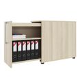 BOXI apothecary cabinet | 2 drawers, 420 x 800 mm, sand ash - 2 Thumbnail Image