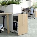 BOXI apothecary cabinet | 2 drawers, 420 x 800 mm, gray northern oak - 7 Thumbnail Image