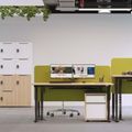 EASY Desk a 2 motori | 1200 - 1800 mm, regolabile in altezza elettricamente, acero - 14 Thumbnail Image