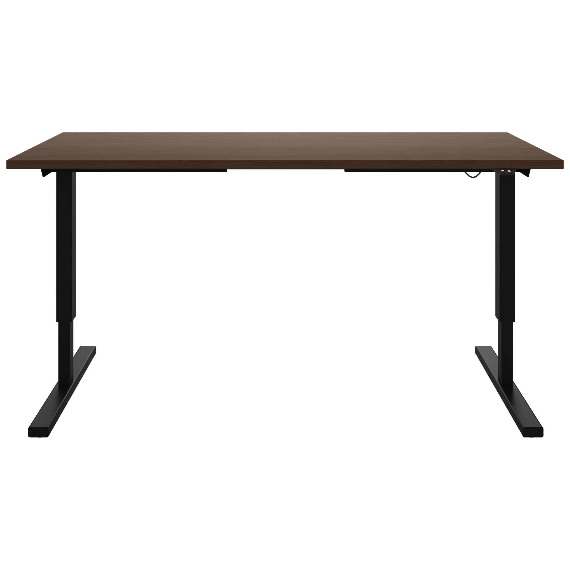EASY Desk a 2 motori | 1200-1800 mm, regolabile in altezza elettricamente, noce - 2 Main Image