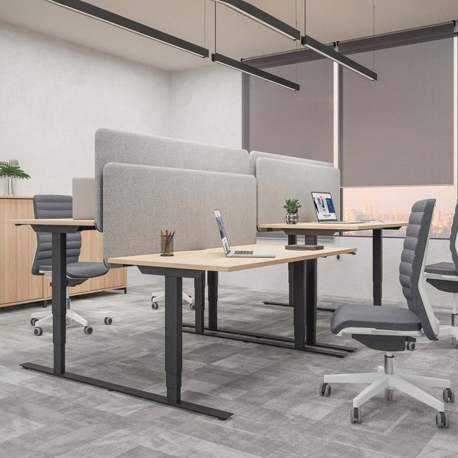 EASY 2-Motoren-Schreibtisch | 1200 - 1800 mm, elektrisch höhenverstellbar, Nordeiche grau EASY 2-Motoren-Schreibtisch | 1200 - 1800 mm, elektrisch höhenverstellbar, Nordeiche grau
