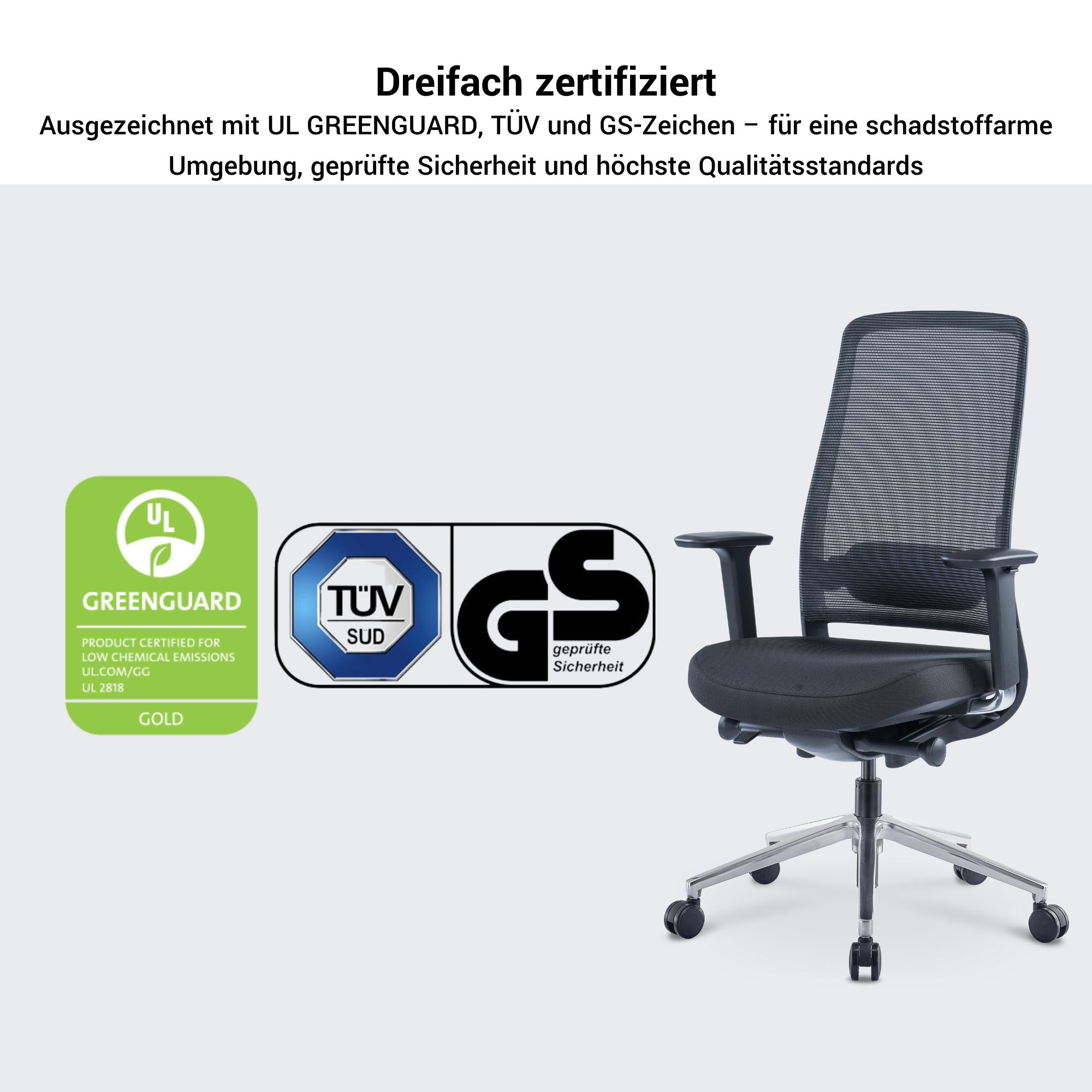 FILO 2.0 Bürodrehstuhl mit Kopfstütze | Lordosenstütze, Netzrücken, Grau - 10 Main Image